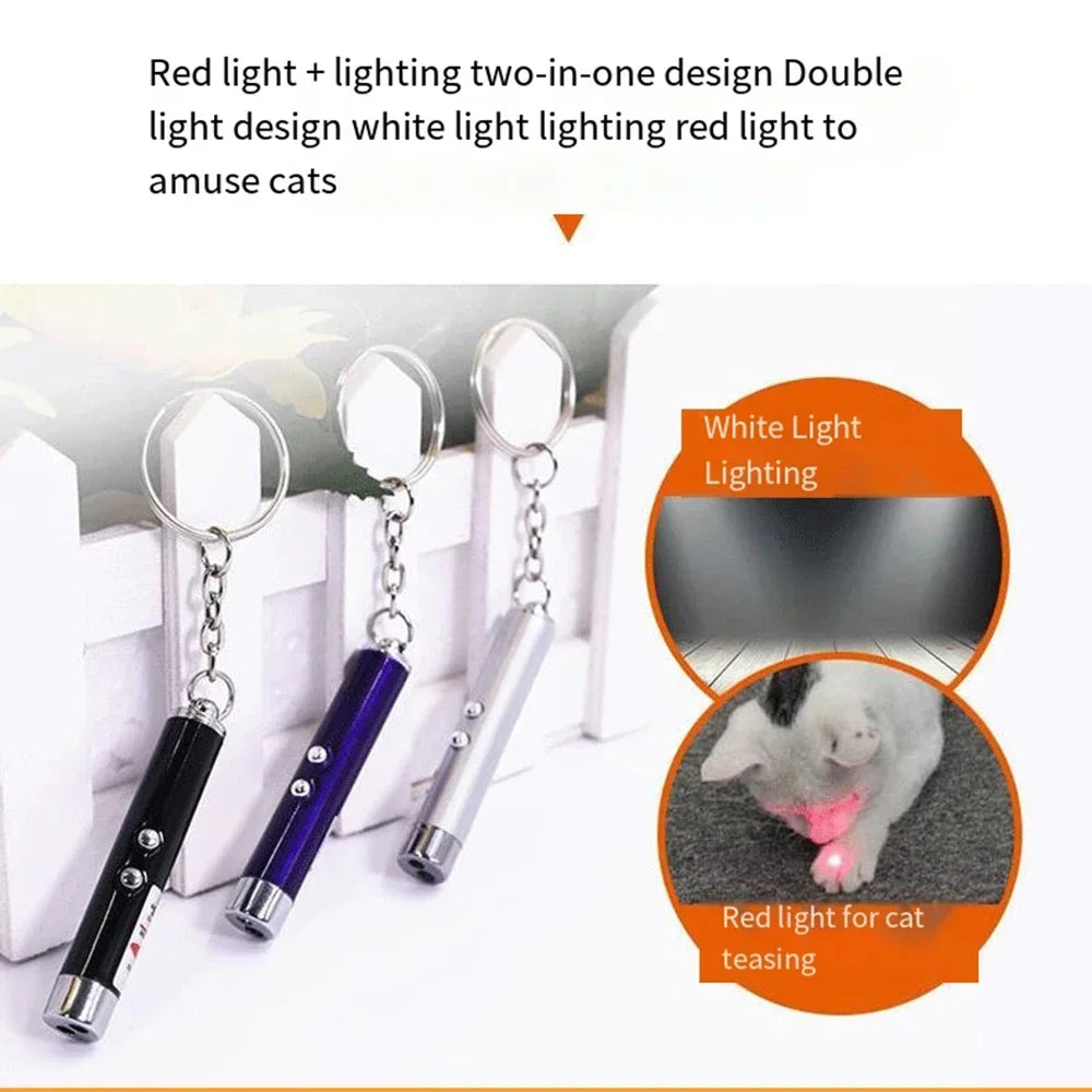 Cat Laser Pointer