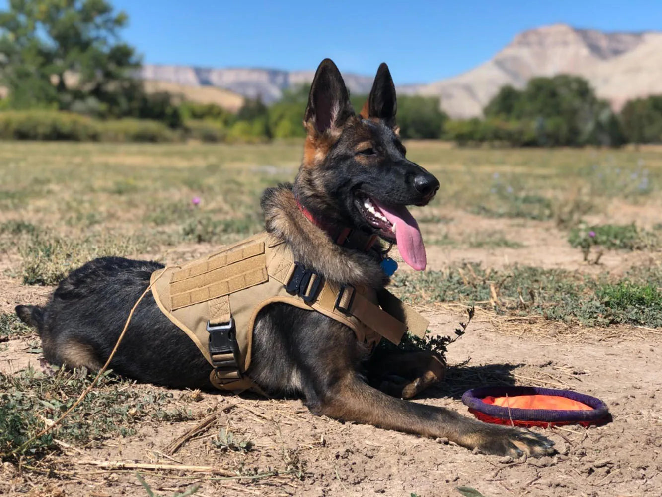 Tactical Military Training Dog Harness Vest