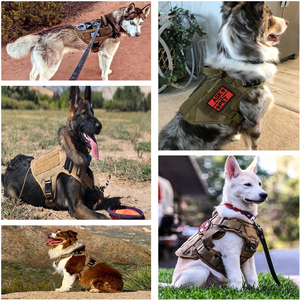Tactical Military Training Dog Harness Vest