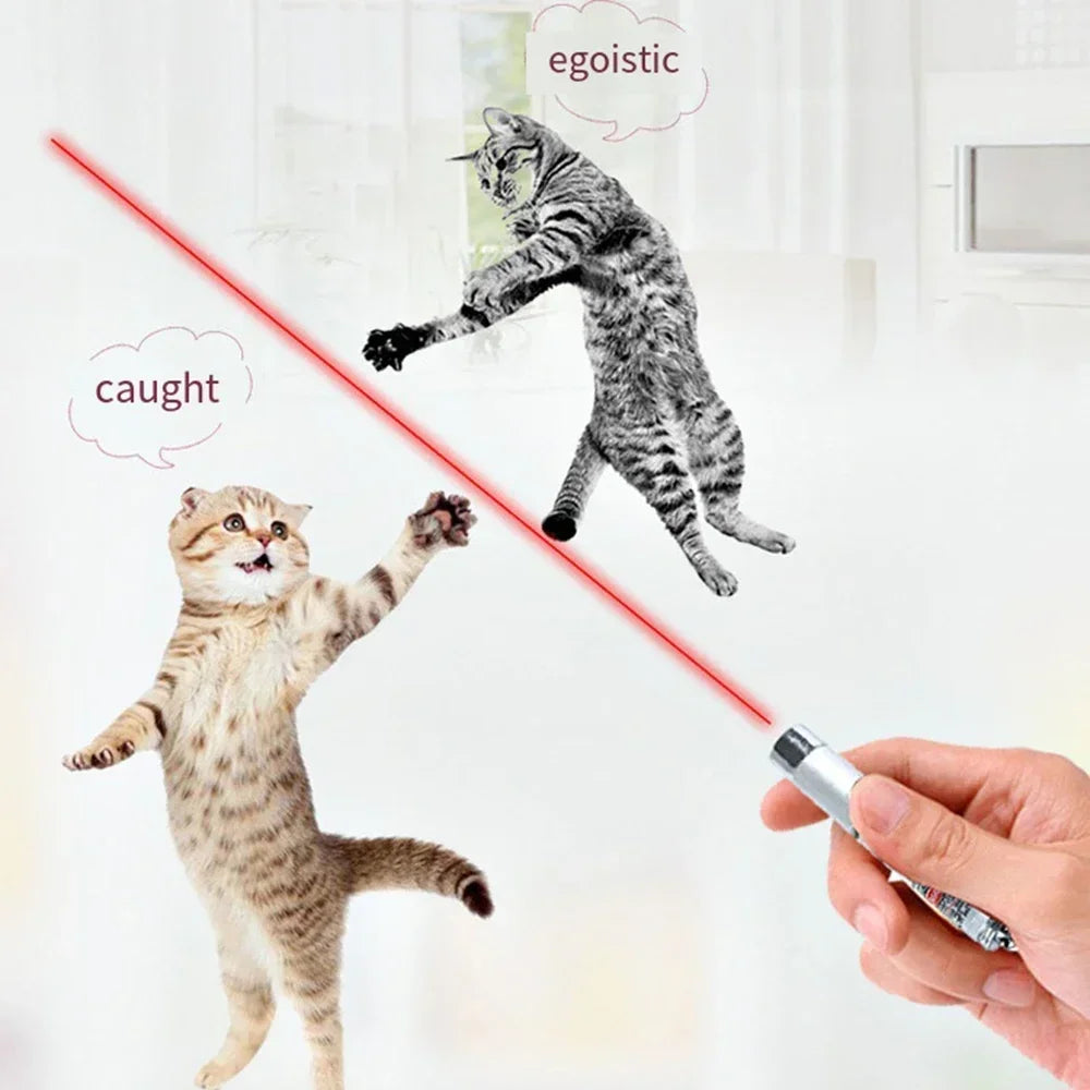 Cat Laser Pointer