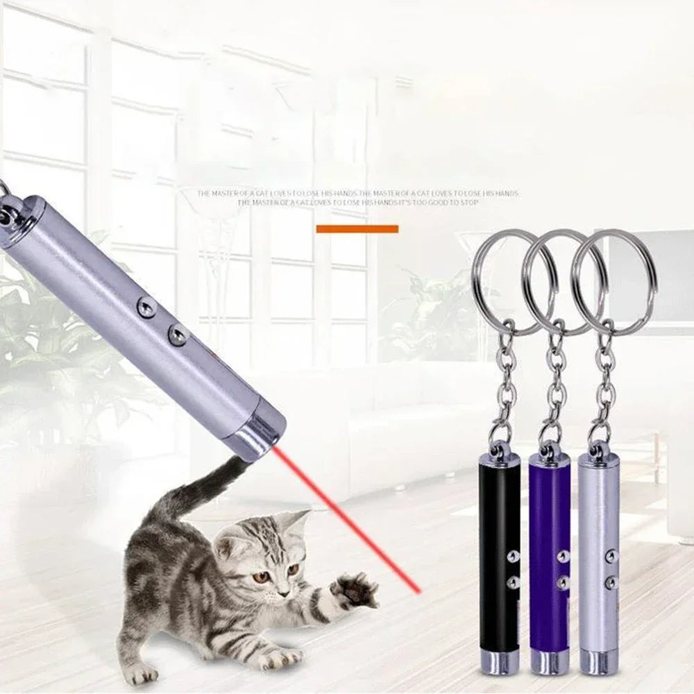Cat Laser Pointer